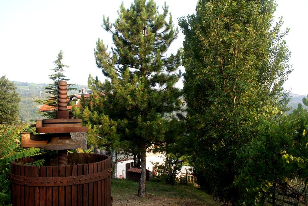 Cascina Ciosse B&B Grognardo Bagian luar foto