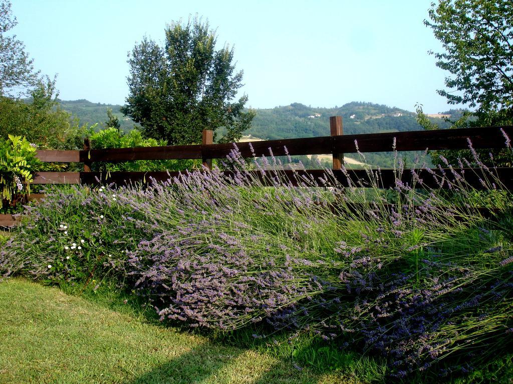 Cascina Ciosse B&B Grognardo Ruang foto