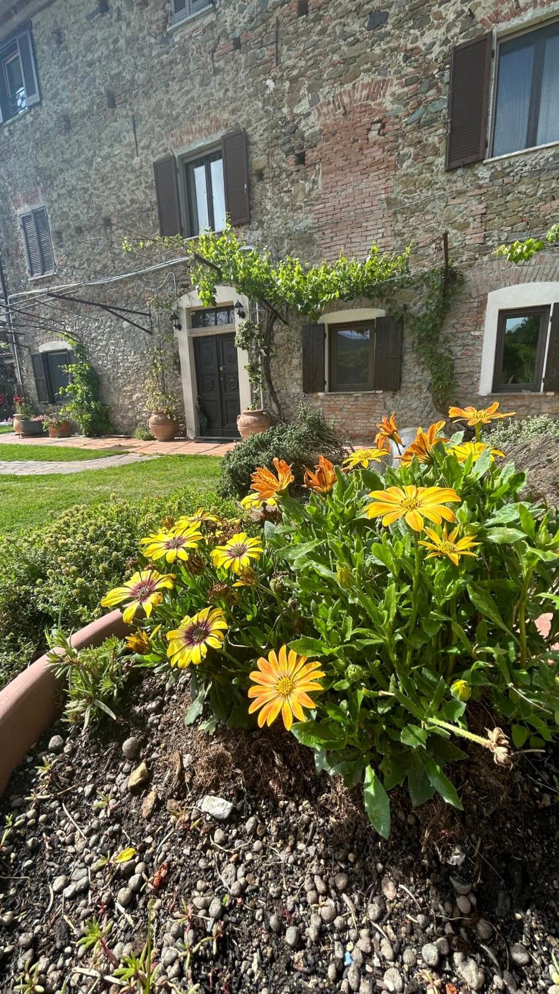 Cascina Ciosse B&B Grognardo Bagian luar foto