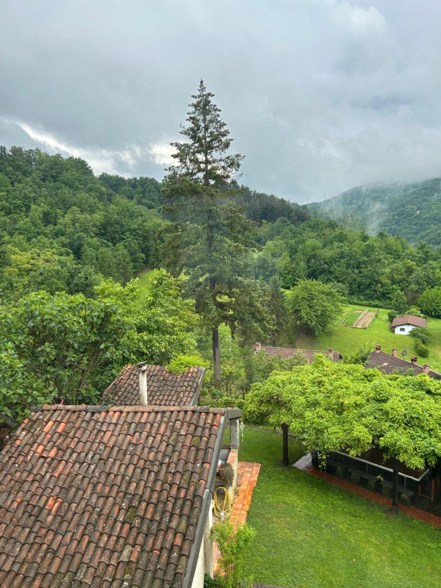 Cascina Ciosse B&B Grognardo Bagian luar foto