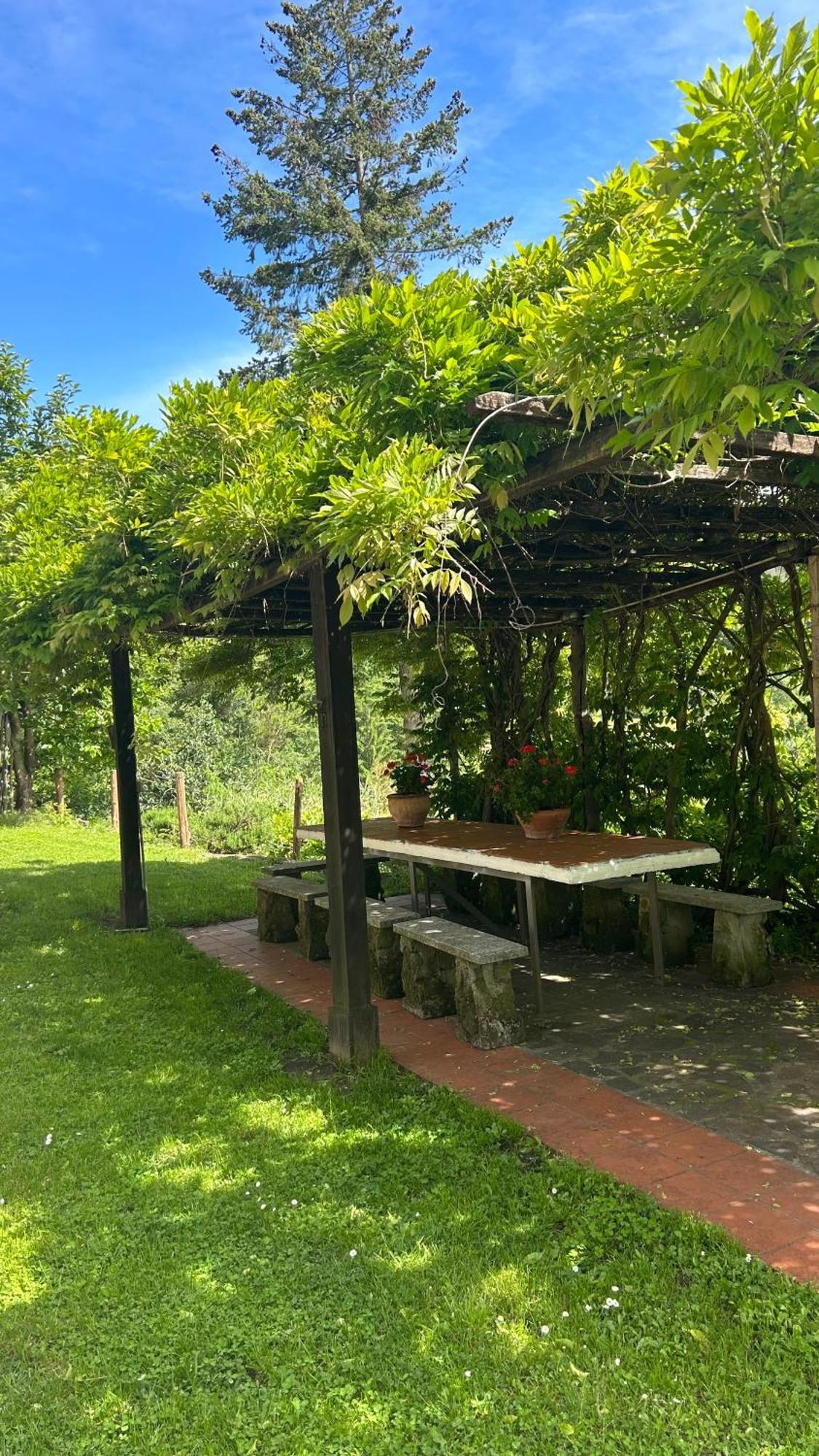 Cascina Ciosse B&B Grognardo Bagian luar foto
