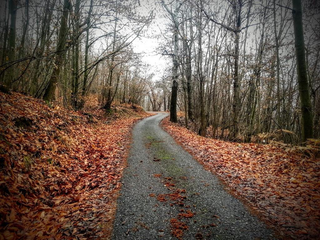Cascina Ciosse B&B Grognardo Bagian luar foto