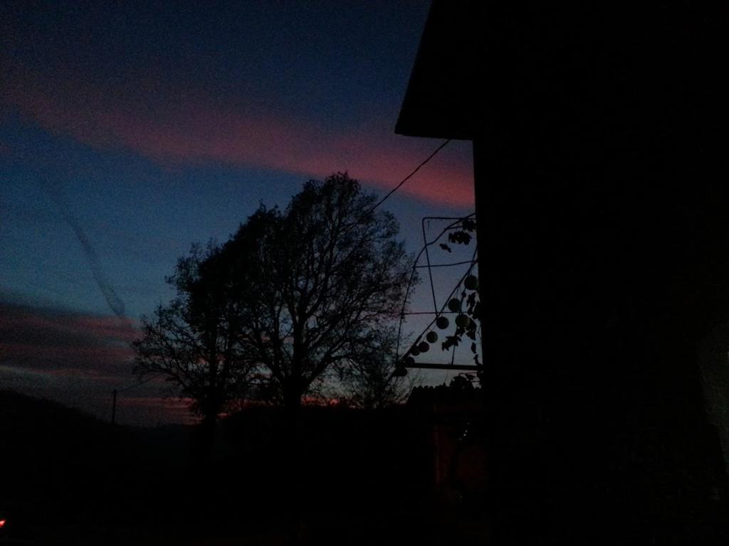 Cascina Ciosse B&B Grognardo Bagian luar foto
